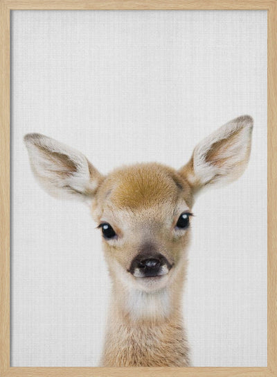 Peekaboo Baby Deer - Stretched Canvas, Poster or Fine Art Print I Heart Wall Art