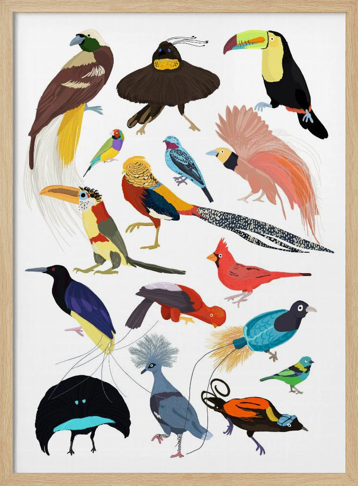 Birds of Paradise - Stretched Canvas, Poster or Fine Art Print I Heart Wall Art