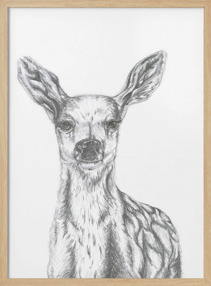 Deer - Stretched Canvas, Poster or Fine Art Print I Heart Wall Art