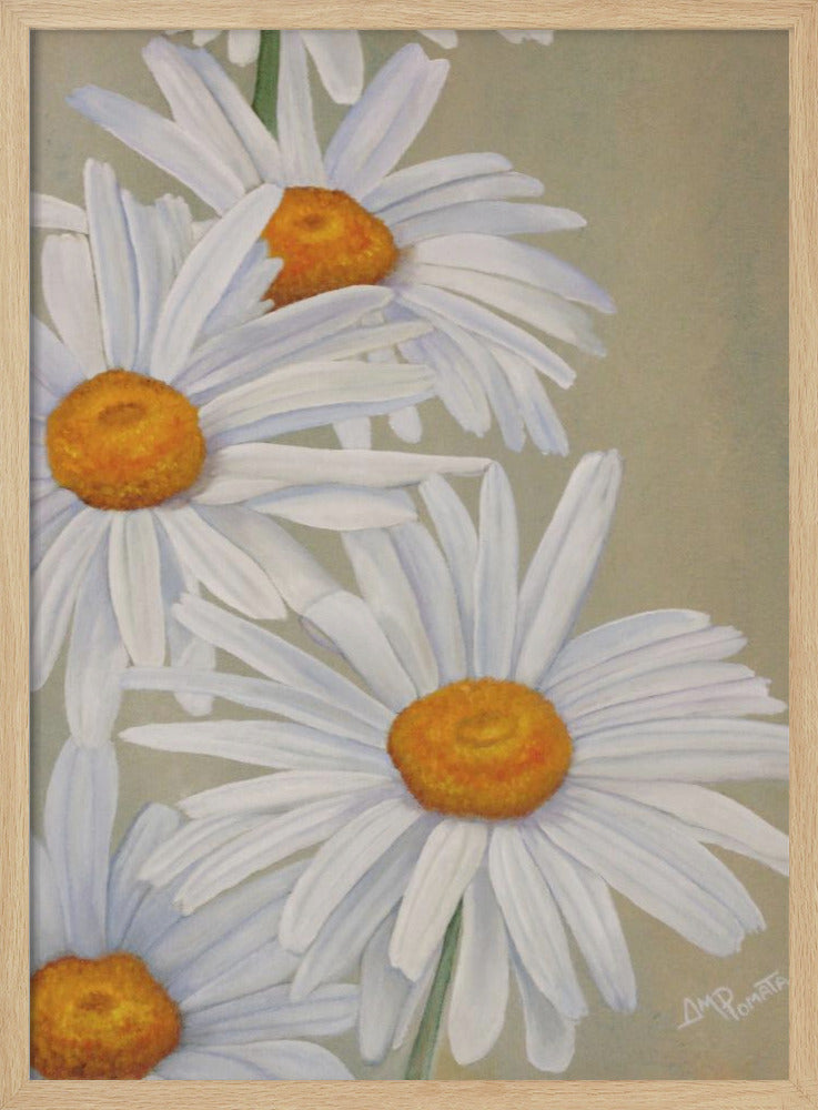 White Daisies - Stretched Canvas, Poster or Fine Art Print I Heart Wall Art