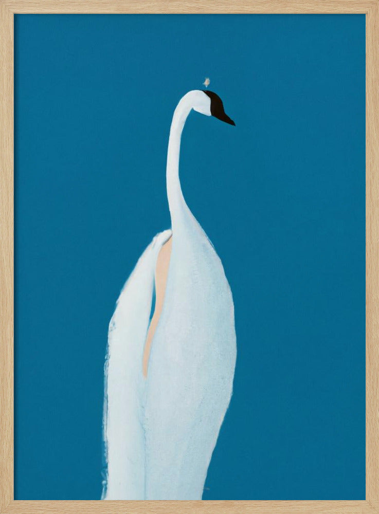 Swan Maybe - Stretched Canvas, Poster or Fine Art Print I Heart Wall Art