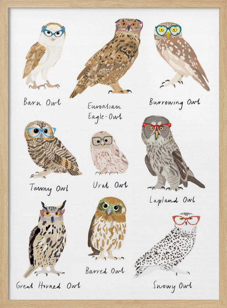 Owls In Glasses Print - Stretched Canvas, Poster or Fine Art Print I Heart Wall Art