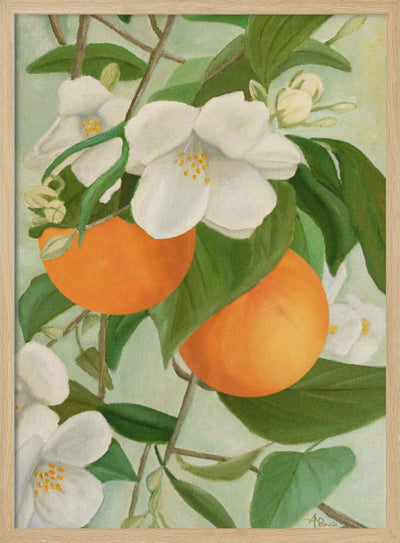 Branch of Orange Tree In Bloom - Stretched Canvas, Poster or Fine Art Print I Heart Wall Art