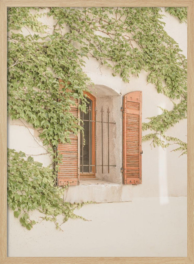 French Shutters - Stretched Canvas, Poster or Fine Art Print I Heart Wall Art