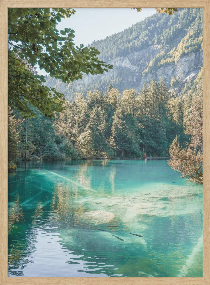 Blausee - Stretched Canvas, Poster or Fine Art Print I Heart Wall Art