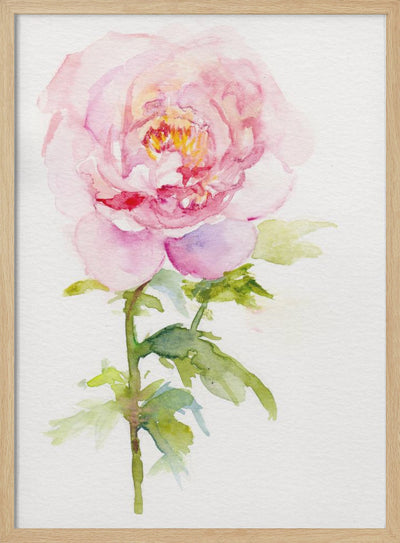 Peony November - Stretched Canvas, Poster or Fine Art Print I Heart Wall Art