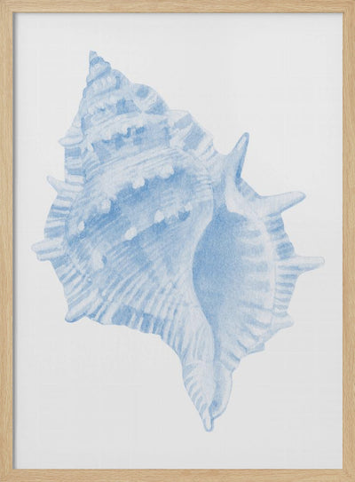 One Blue Conch - Stretched Canvas, Poster or Fine Art Print I Heart Wall Art