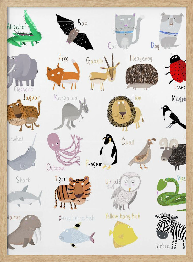 Illustrated Alphabet Animal Letters on White Background by Carla Daly - Stretched Canvas, Poster or Fine Art Print I Heart Wall Art