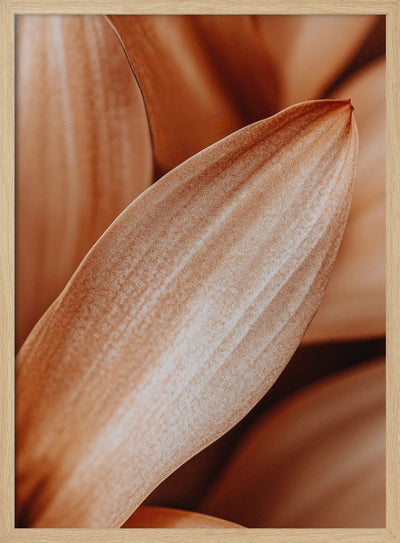 Leafdetail - Stretched Canvas, Poster or Fine Art Print I Heart Wall Art