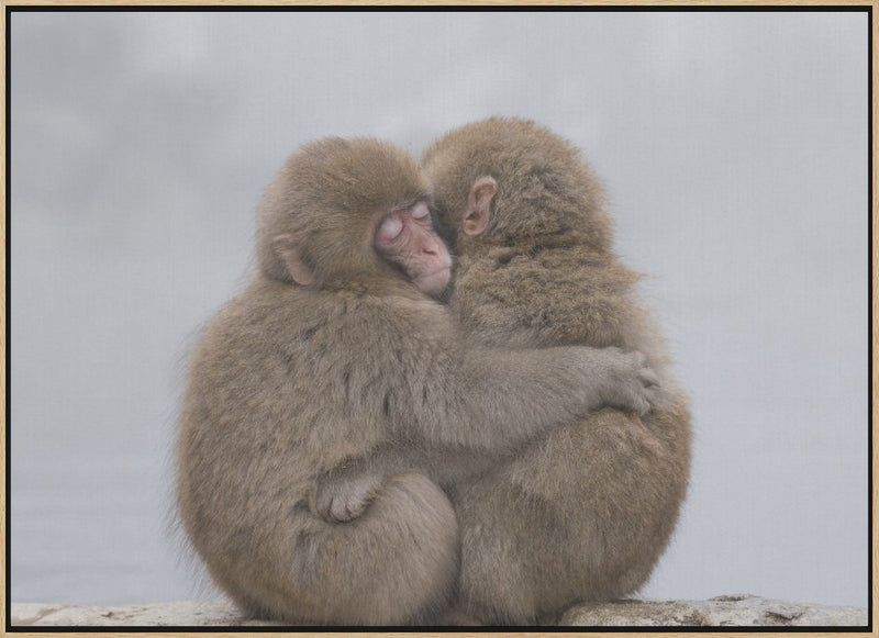 Forever Friends - Stretched Canvas, Poster or Fine Art Print I Heart Wall Art