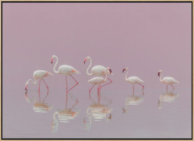 Flamingos - Stretched Canvas, Poster or Fine Art Print I Heart Wall Art