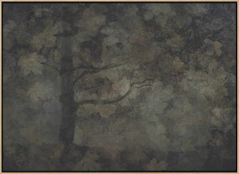 Dark forest - Stretched Canvas, Poster or Fine Art Print I Heart Wall Art