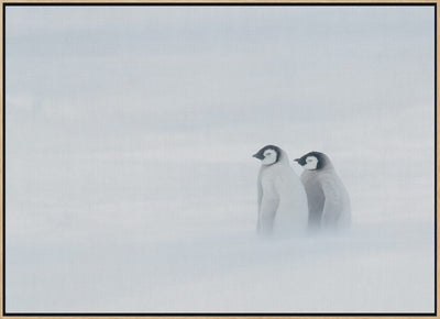 SISTER BOND UNDER THE WORST WEATHER II - Stretched Canvas, Poster or Fine Art Print I Heart Wall Art