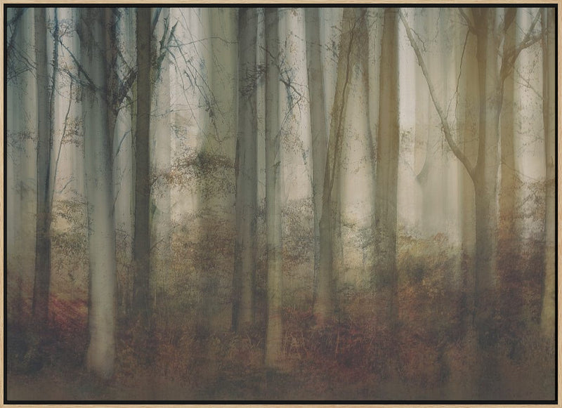 Autumn light - Stretched Canvas, Poster or Fine Art Print I Heart Wall Art