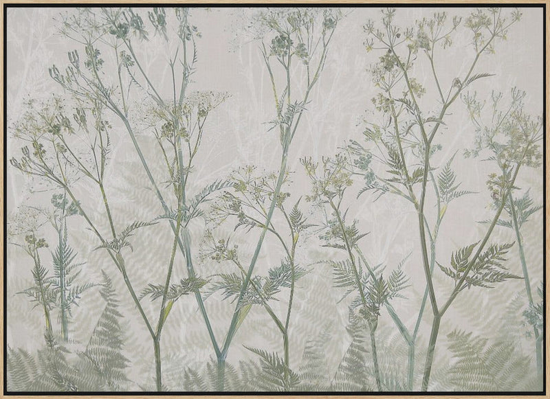 Cow parsley - Stretched Canvas, Poster or Fine Art Print I Heart Wall Art