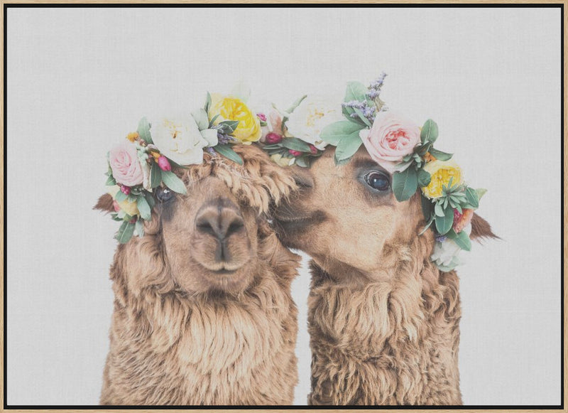 Boho Alpacas - Stretched Canvas, Poster or Fine Art Print I Heart Wall Art