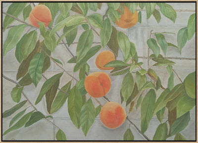 Peaches - Stretched Canvas, Poster or Fine Art Print I Heart Wall Art