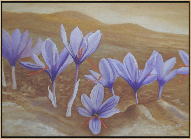 Saffron Flowers - Stretched Canvas, Poster or Fine Art Print I Heart Wall Art