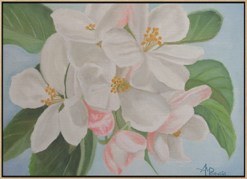 Apple Blossom - Stretched Canvas, Poster or Fine Art Print I Heart Wall Art