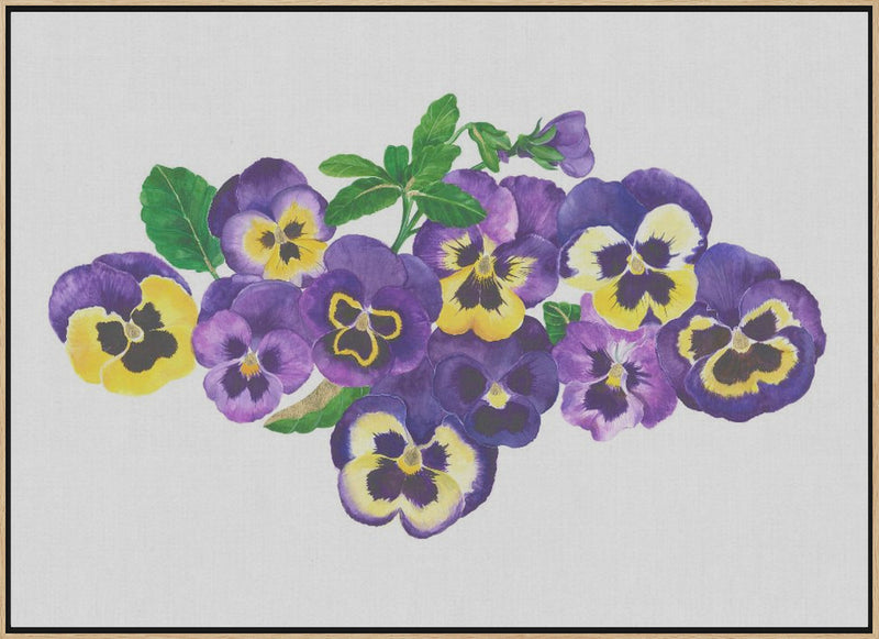 Pansies - Stretched Canvas, Poster or Fine Art Print I Heart Wall Art