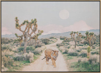 Wandering Tiger - Stretched Canvas, Poster or Fine Art Print I Heart Wall Art