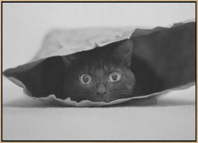 Cat in a bag - Stretched Canvas, Poster or Fine Art Print I Heart Wall Art