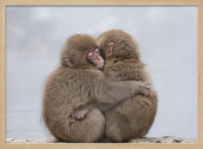 Forever Friends - Stretched Canvas, Poster or Fine Art Print I Heart Wall Art