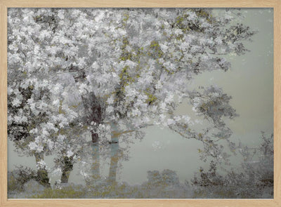 Spring - Stretched Canvas, Poster or Fine Art Print I Heart Wall Art