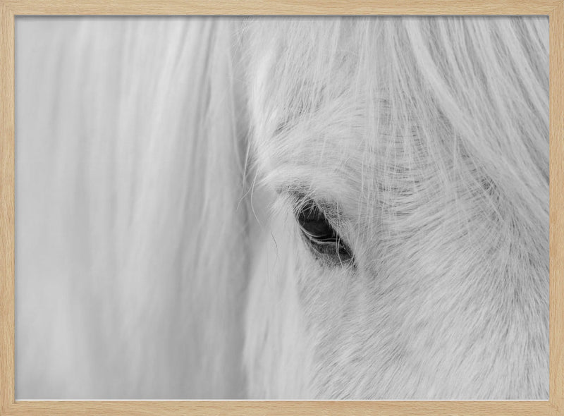 Whisper of Iceland - Stretched Canvas, Poster or Fine Art Print I Heart Wall Art