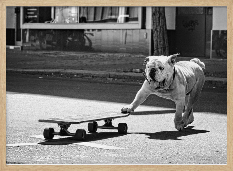 ... dogs just want to have fun ... - Stretched Canvas, Poster or Fine Art Print I Heart Wall Art