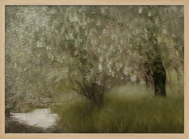 At the riverbank - Stretched Canvas, Poster or Fine Art Print I Heart Wall Art