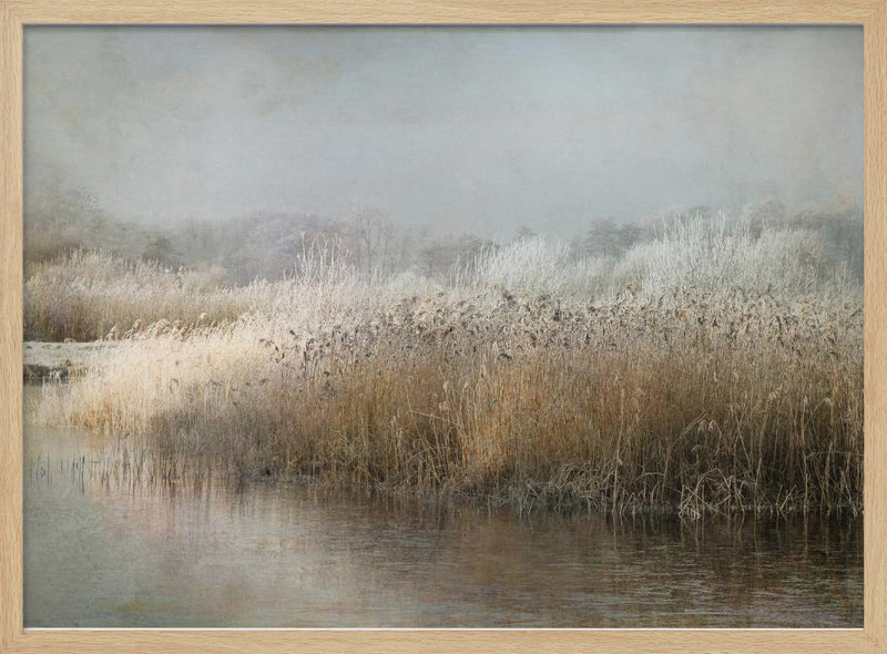 Wintermorning - Stretched Canvas, Poster or Fine Art Print I Heart Wall Art