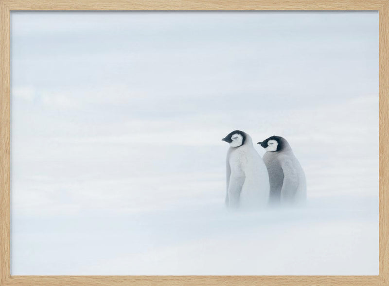 SISTER BOND UNDER THE WORST WEATHER II - Stretched Canvas, Poster or Fine Art Print I Heart Wall Art