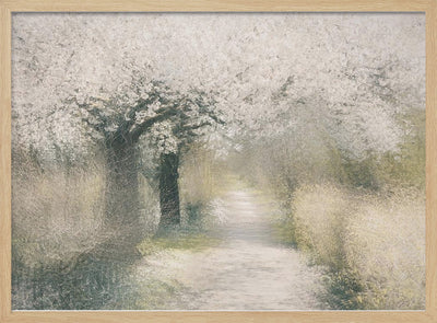 Cherry blossom - Stretched Canvas, Poster or Fine Art Print I Heart Wall Art