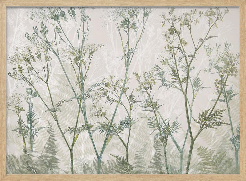 Cow parsley - Stretched Canvas, Poster or Fine Art Print I Heart Wall Art