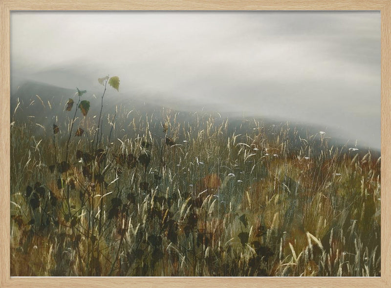 In the field - Stretched Canvas, Poster or Fine Art Print I Heart Wall Art