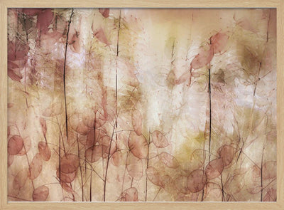 Seed pods - Stretched Canvas, Poster or Fine Art Print I Heart Wall Art