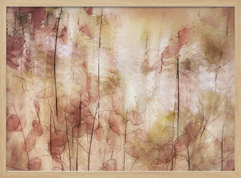Seed pods - Stretched Canvas, Poster or Fine Art Print I Heart Wall Art