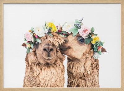 Boho Alpacas - Stretched Canvas, Poster or Fine Art Print I Heart Wall Art