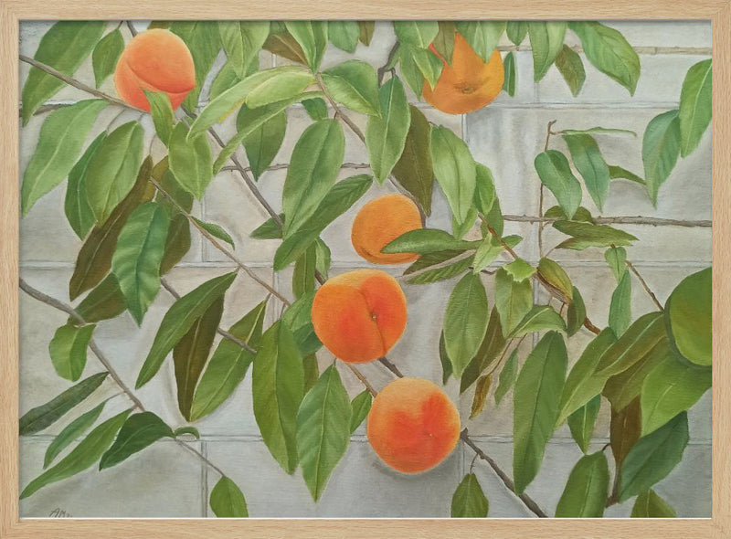 Peaches - Stretched Canvas, Poster or Fine Art Print I Heart Wall Art