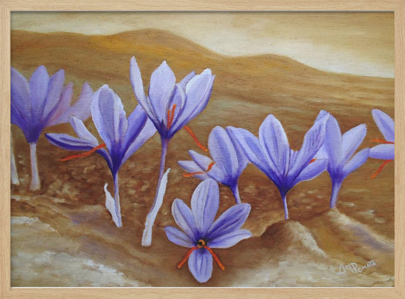 Saffron Flowers - Stretched Canvas, Poster or Fine Art Print I Heart Wall Art