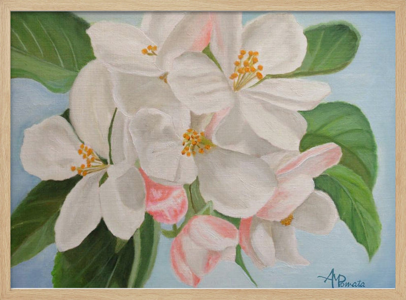 Apple Blossom - Stretched Canvas, Poster or Fine Art Print I Heart Wall Art