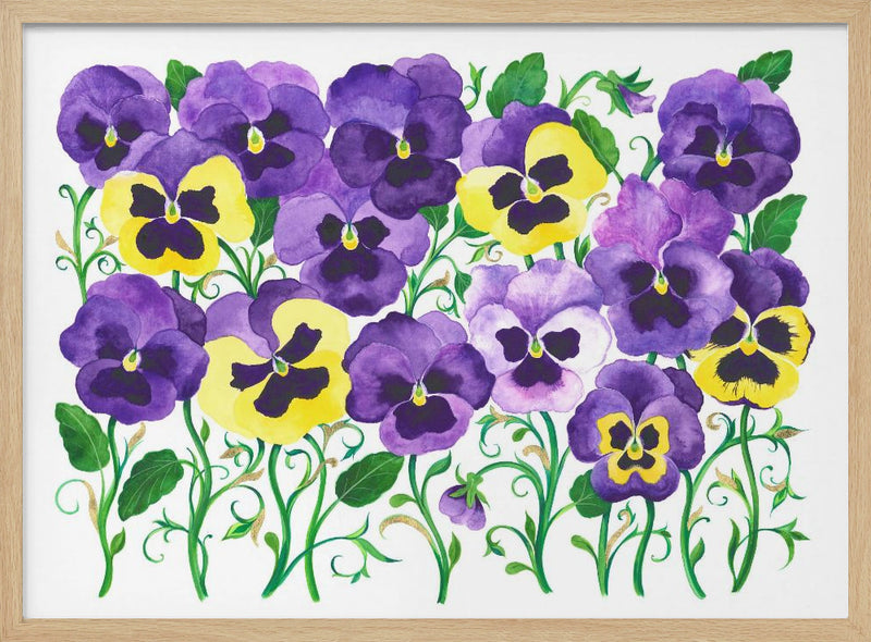 Pansy Field - Stretched Canvas, Poster or Fine Art Print I Heart Wall Art