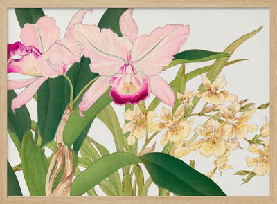 Oncidium Woodblock Painting No.2 - Stretched Canvas, Poster or Fine Art Print I Heart Wall Art