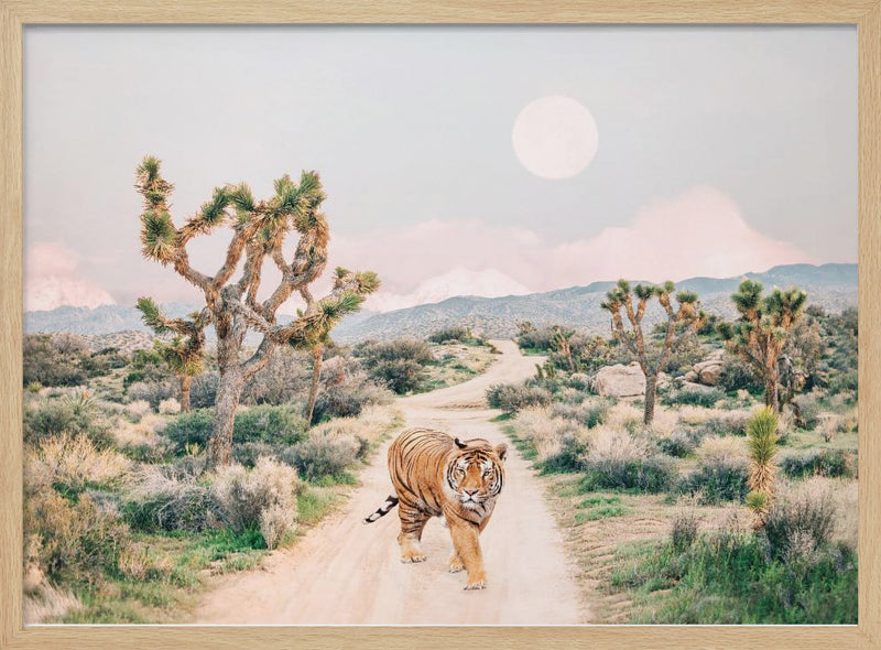 Wandering Tiger - Stretched Canvas, Poster or Fine Art Print I Heart Wall Art