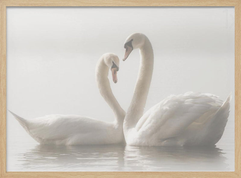 Forever - Stretched Canvas, Poster or Fine Art Print I Heart Wall Art