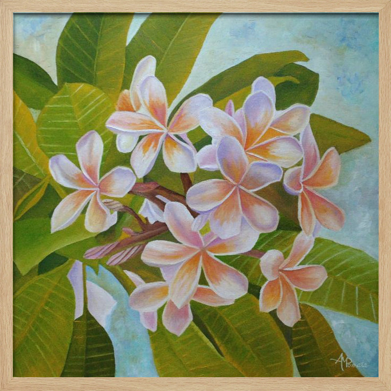 Plumeria - Square Stretched Canvas, Poster or Fine Art Print I Heart Wall Art