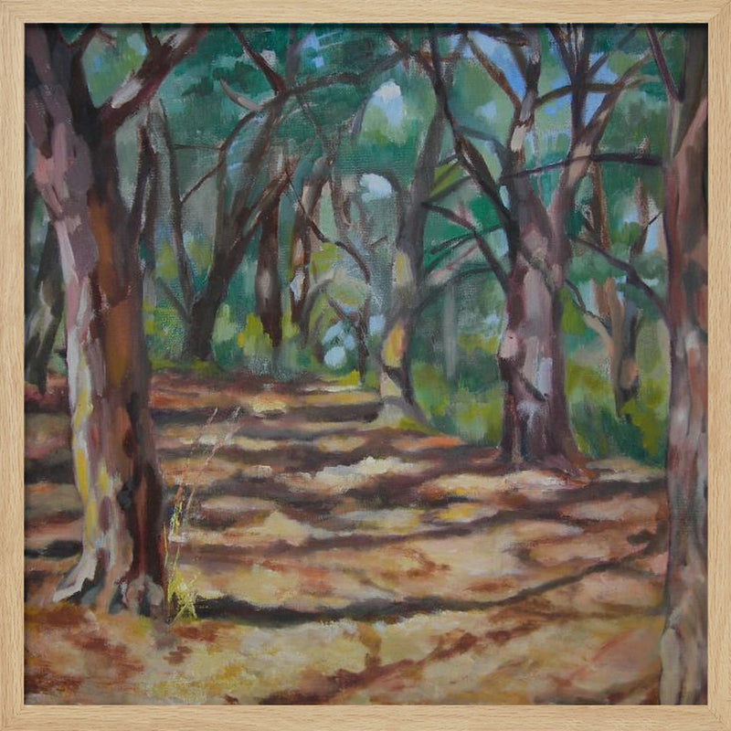 Cape Cod Forest - Square Stretched Canvas, Poster or Fine Art Print I Heart Wall Art