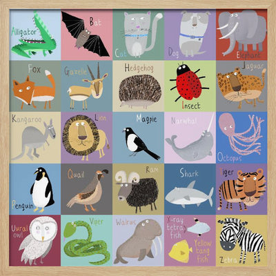 Colorful Chequered Animal Alphabet by Artist Carla Daly - Square Stretched Canvas, Poster or Fine Art Print I Heart Wall Art