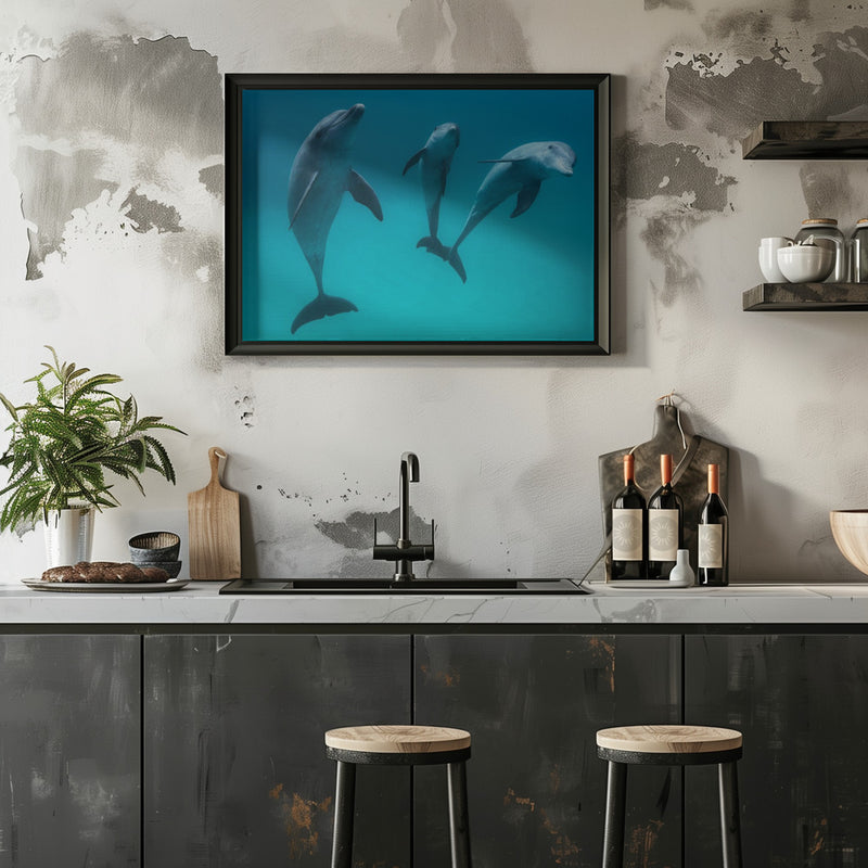 Bottlenose dolphins - Stretched Canvas, Poster or Fine Art Print I Heart Wall Art